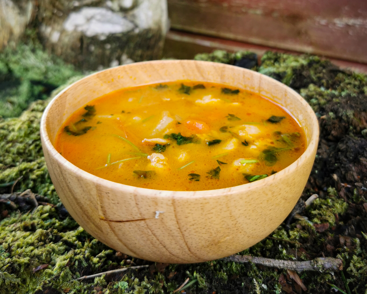 Brasiliansk kyllingsuppe