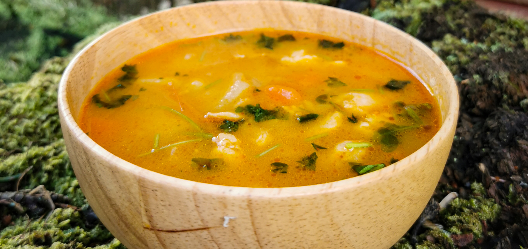 Brasiliansk kyllingsuppe